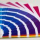 real estate agent in westmont il helps with color choices